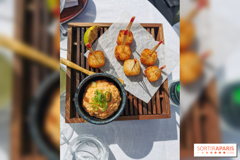 Photos Mun Rooftop Champs-Elysées