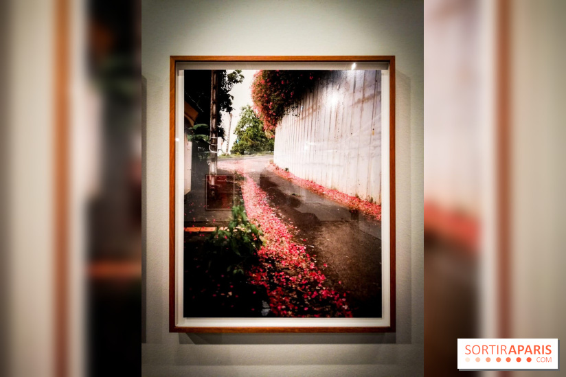 Soleil cou coupé, l'expo photo de Gregory Halpern à la Fondation Henri Cartier-Bresson