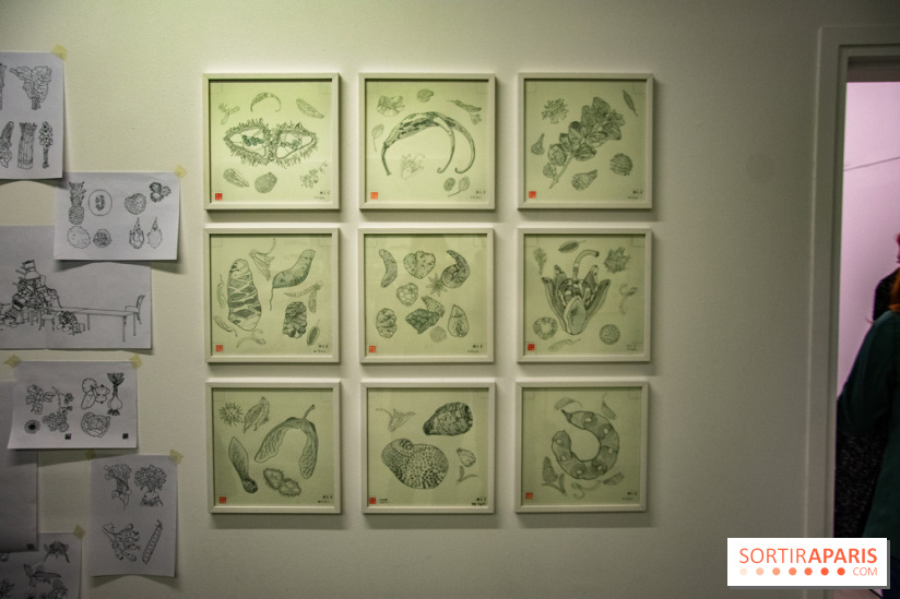 Exposition Lucy+Jorge Orta au Drawing Lab