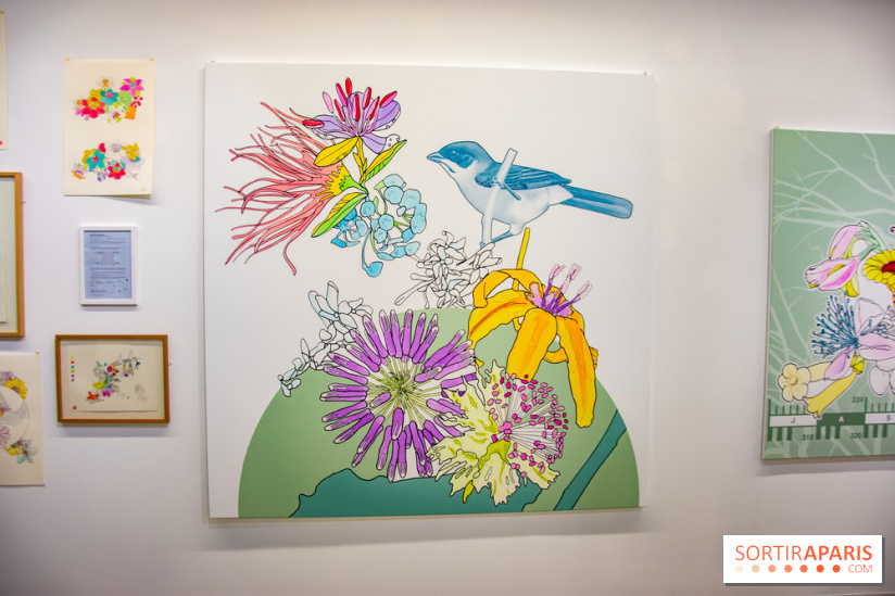 Exposition Lucy+Jorge Orta au Drawing Lab