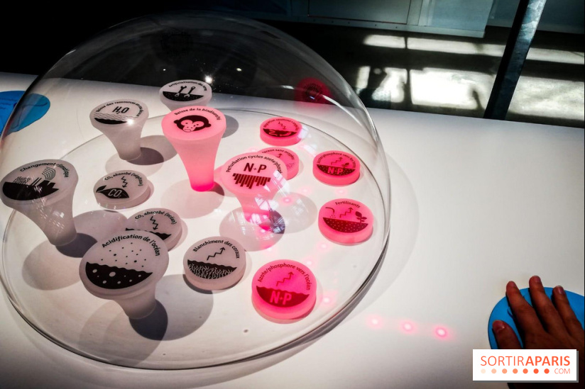 Bio-inspirée, la nouvelle expo permanente à la Cité des Sciences et de l'Industrie