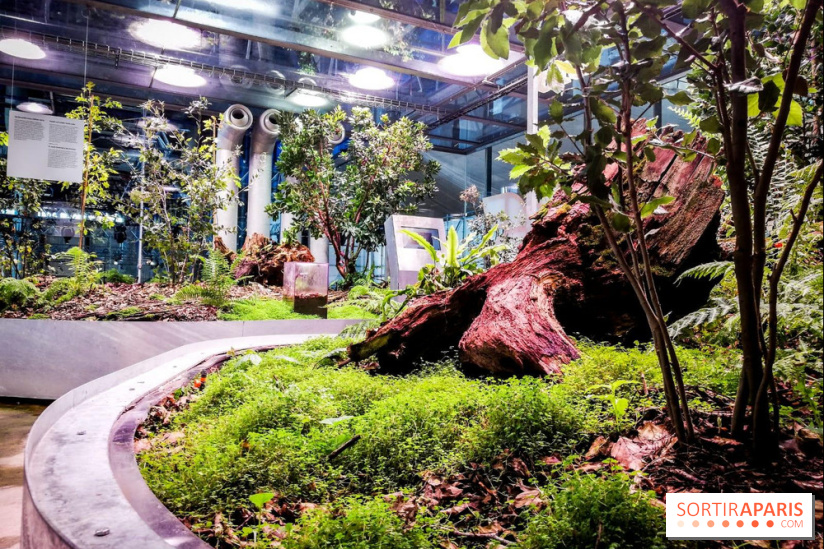 Bio-inspirée, la nouvelle expo permanente à la Cité des Sciences et de l'Industrie