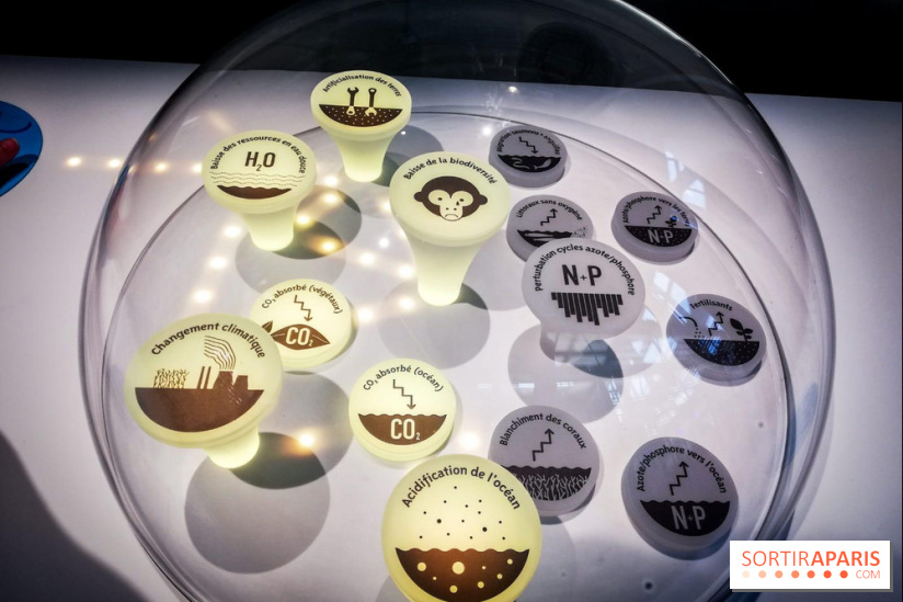 Bio-inspirée, la nouvelle expo permanente à la Cité des Sciences et de l'Industrie