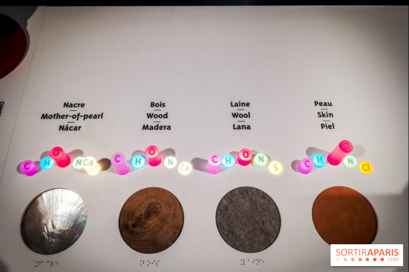 Bio-inspirée, la nouvelle expo permanente à la Cité des Sciences et de l'Industrie