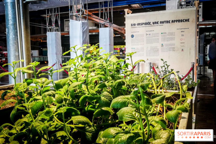 Bio-inspirée, la nouvelle expo permanente à la Cité des Sciences et de l'Industrie