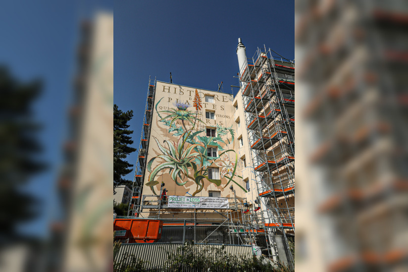 Street Art à Versailles, Réenchanter la ville de Quai 36