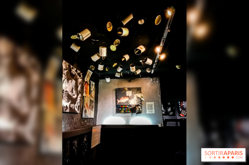 Mythologies du poisson rouge, l'exposition de l'Appart Renoma, nos photos