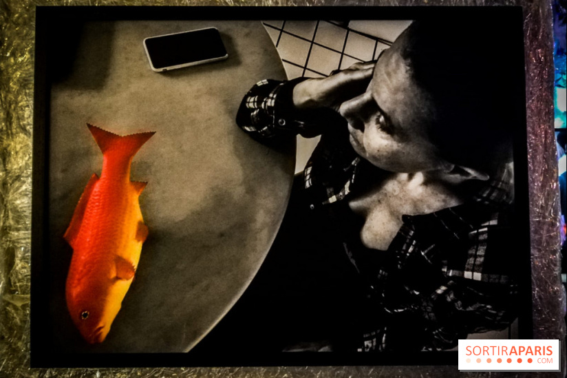 Mythologies du poisson rouge, l'exposition de l'Appart Renoma, nos photos
