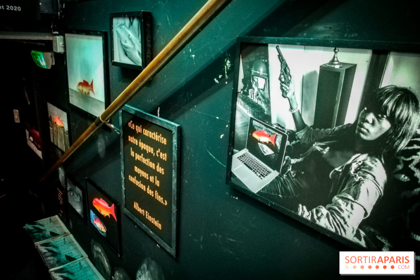 Mythologies du poisson rouge, l'exposition de l'Appart Renoma, nos photos