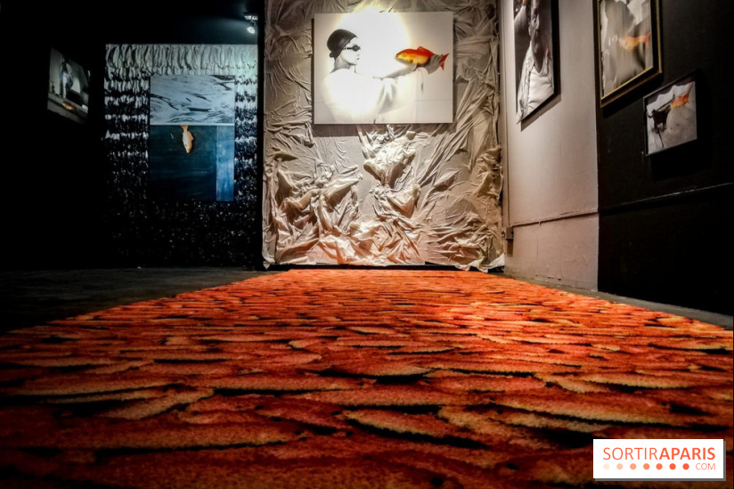 Mythologies du poisson rouge, l'exposition de l'Appart Renoma, nos photos