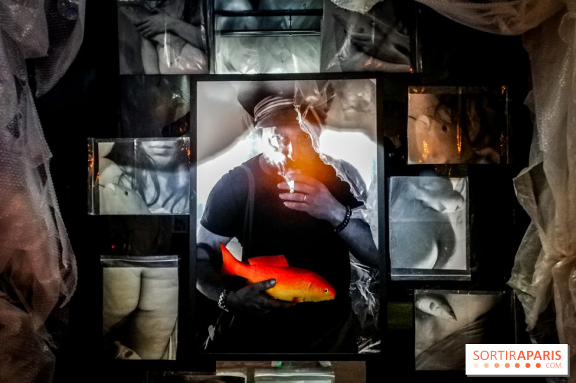 Mythologies du poisson rouge, l'exposition de l'Appart Renoma, nos photos