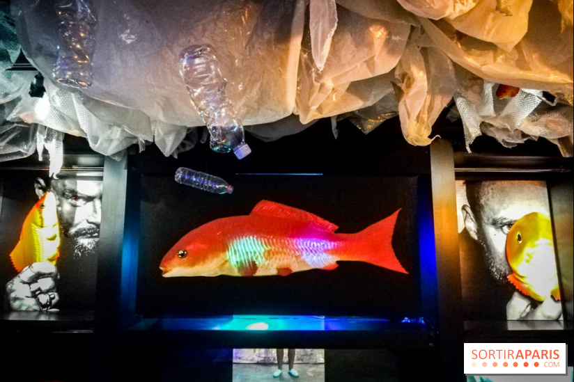 Mythologies du poisson rouge, l'exposition de l'Appart Renoma, nos photos