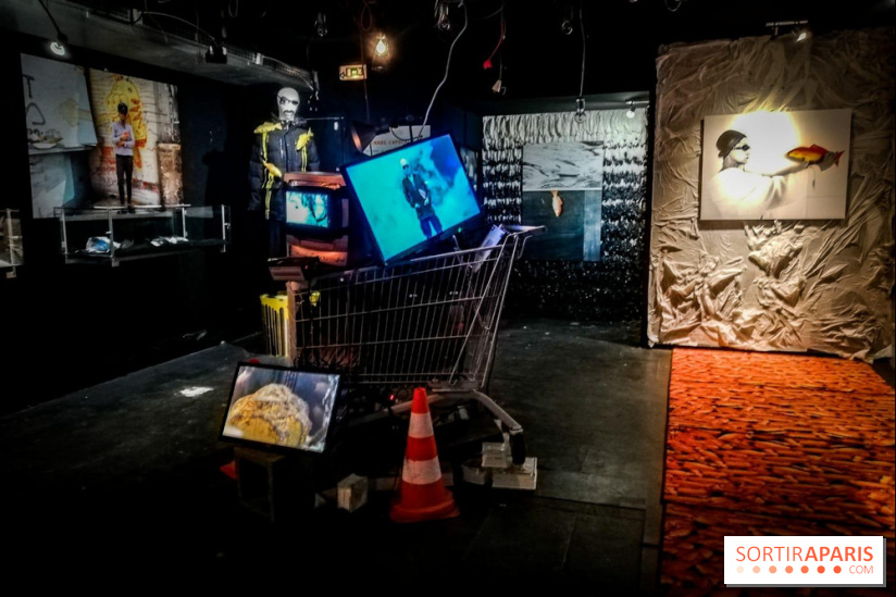 Mythologies du poisson rouge, l'exposition de l'Appart Renoma, nos photos