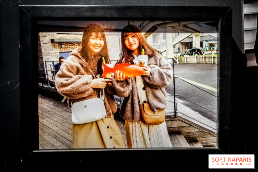 Mythologies du poisson rouge, l'exposition de l'Appart Renoma, nos photos