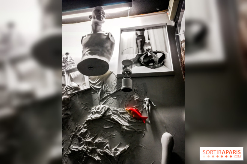 Mythologies du poisson rouge, l'exposition de l'Appart Renoma, nos photos