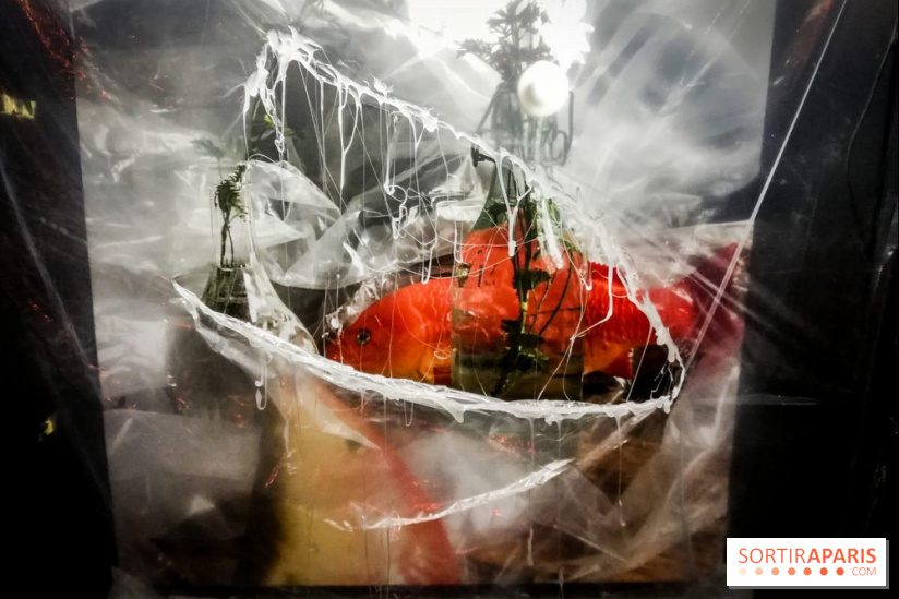 Mythologies du poisson rouge, l'exposition de l'Appart Renoma, nos photos