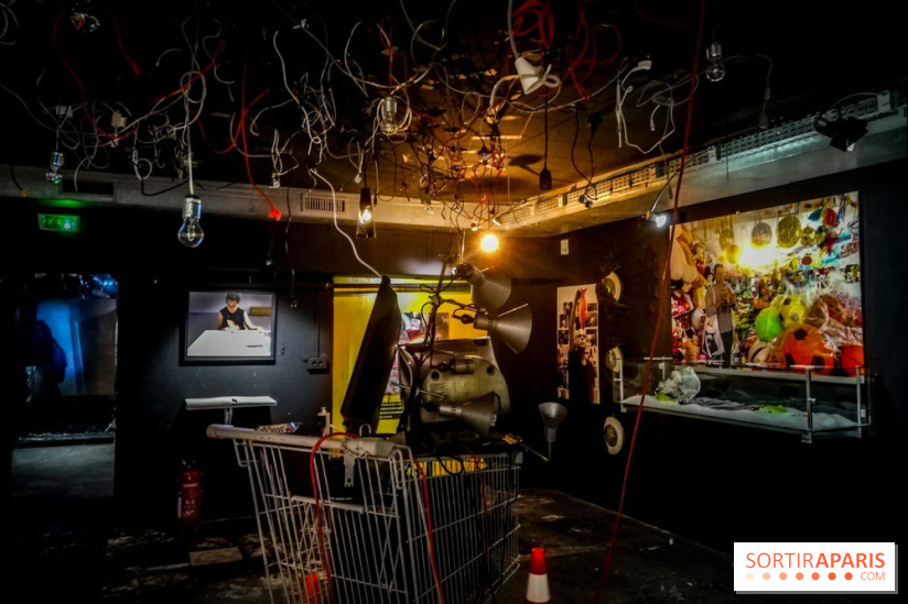 Mythologies du poisson rouge, l'exposition de l'Appart Renoma, nos photos