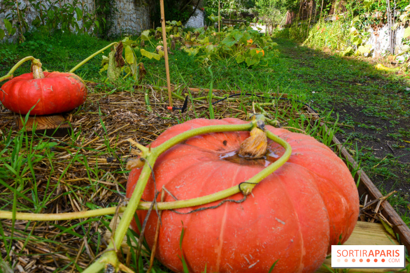 Le Domaine de la Corniche