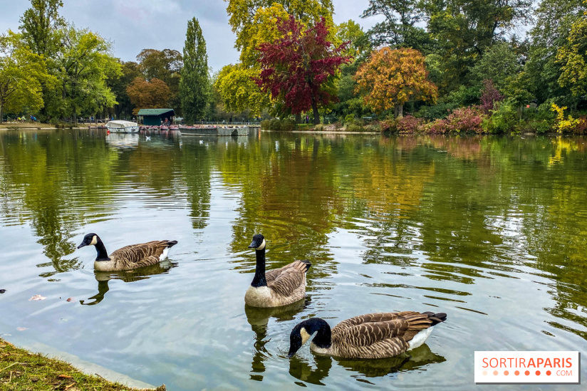 Visuel Paris, Lac Daumesnil bois de Vincennes