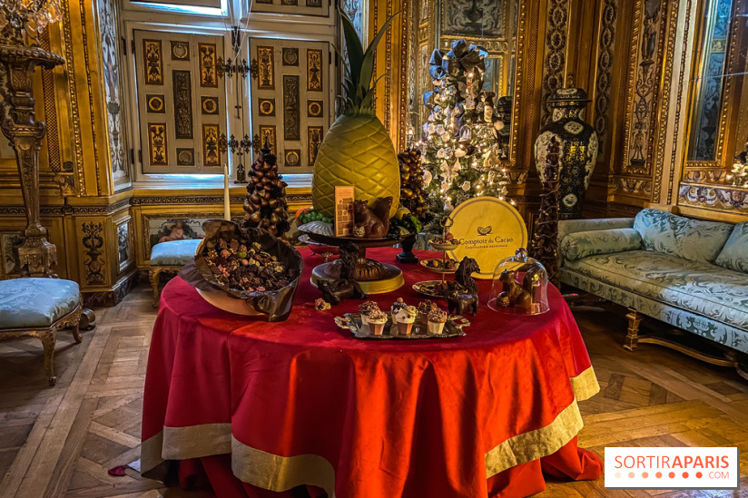 Photos : Vaux-le-vicomte en Lumières cacao