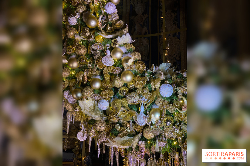 Photos : Vaux-le-vicomte en Lumières