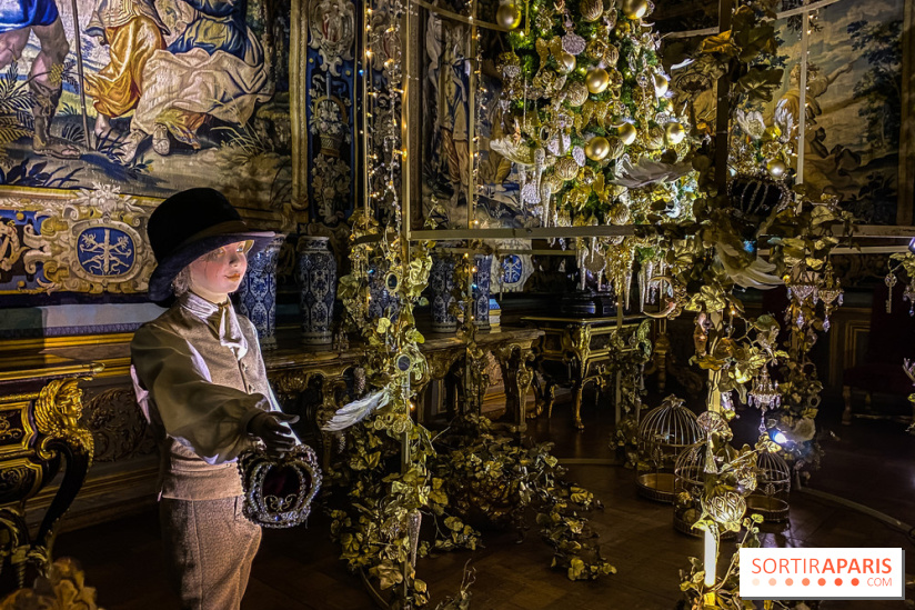 Photos : Vaux-le-vicomte en Lumières