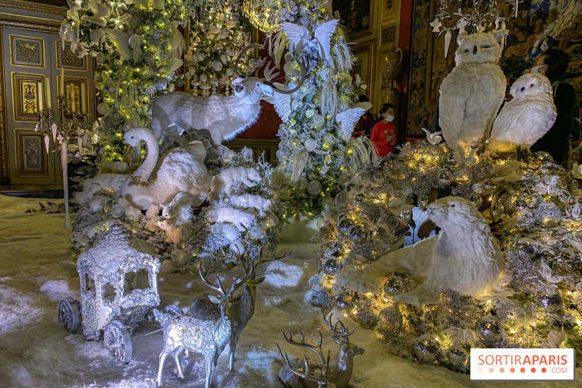 Photos : Vaux-le-vicomte en Lumières animaux