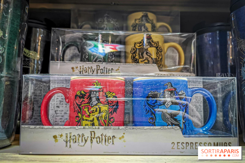 Boutique Wizarding World Harry Potter au Village JouéClub