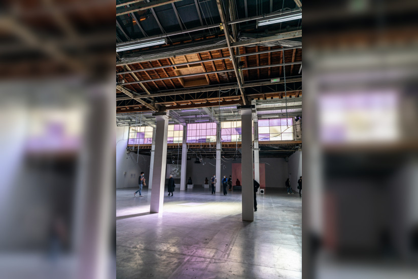 Exposition Anticorps au Palais de Tokyo