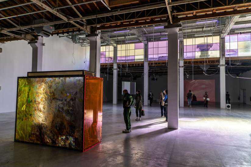 Exposition Anticorps au Palais de Tokyo