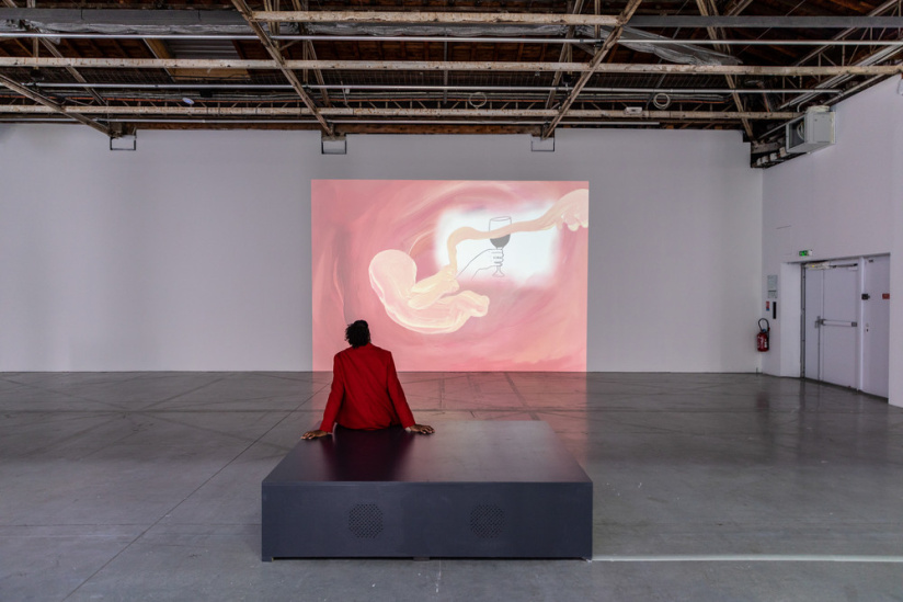 Exposition Anticorps au Palais de Tokyo