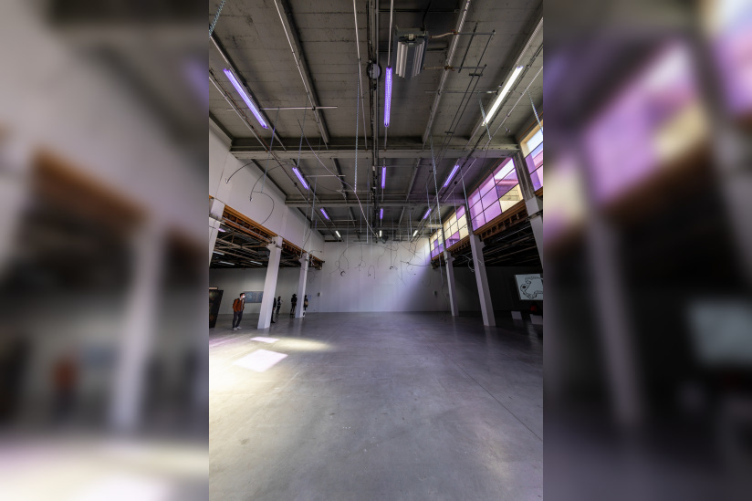 Exposition Anticorps au Palais de Tokyo