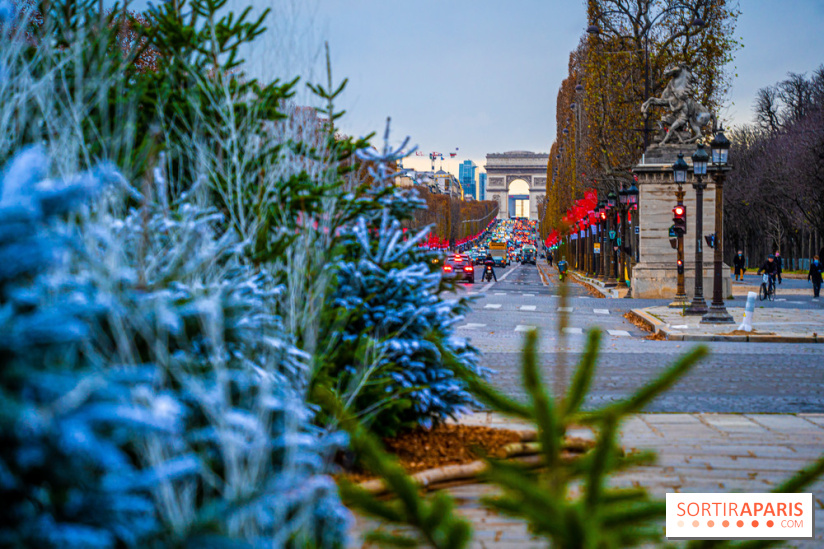 Photos : Illuminations et sapins de Noël Place de la Concorde