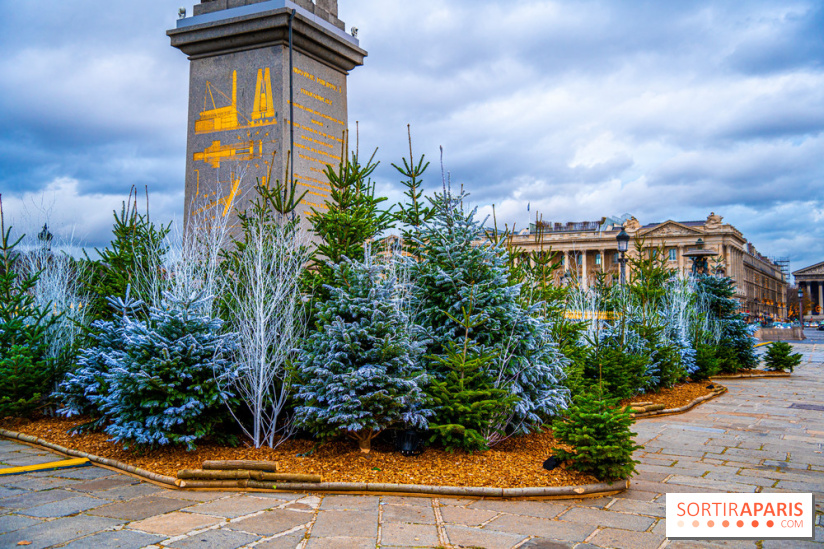 Photos : Illuminations et sapins de Noël Place de la Concorde