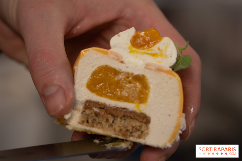 Photos : Les Bûches de Noël de Yann Menguy à la Goutte d'Or Pâtisserie 2020