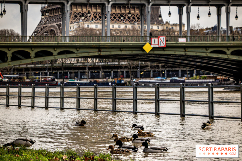 La Seine en crue février 2021