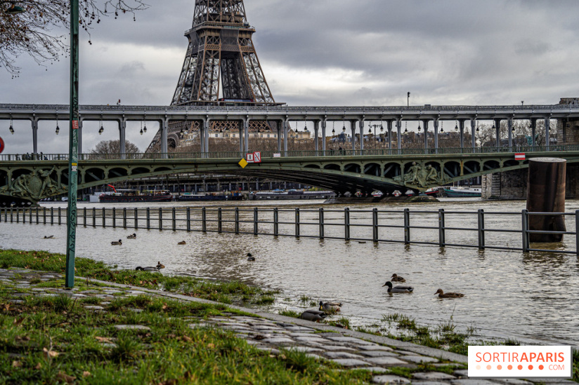 La Seine en crue février 2021