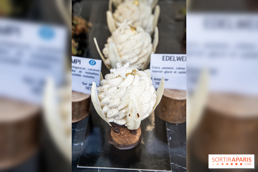 Photos : Wonderland Pâtisserie 