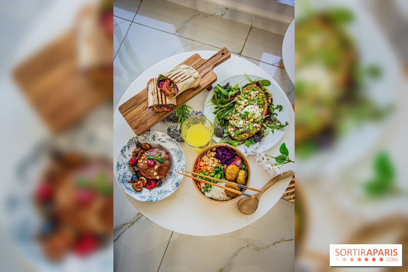 Fuumi nouvelle carte