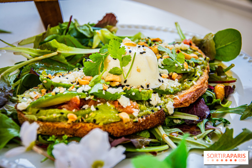 Fuumi nouvelle carte