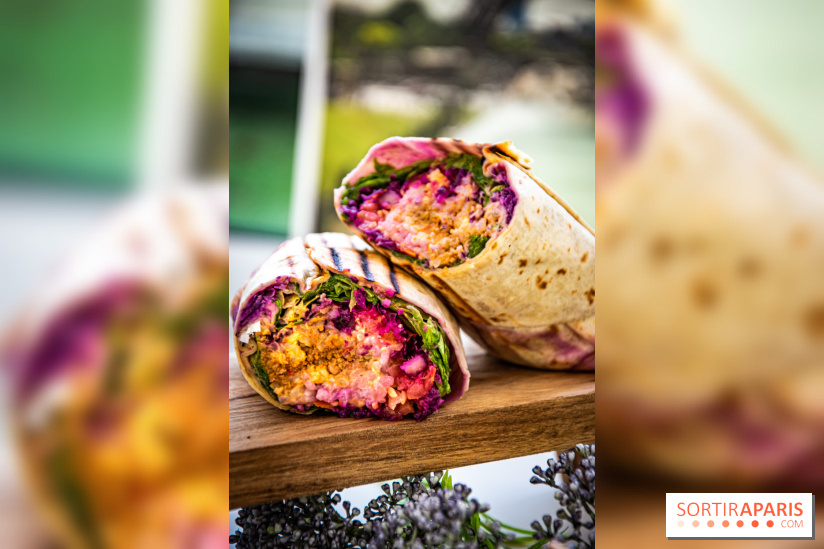 Fuumi nouvelle carte