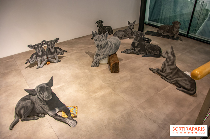 Exposition Daniel Otero Torres au Drawing Lab