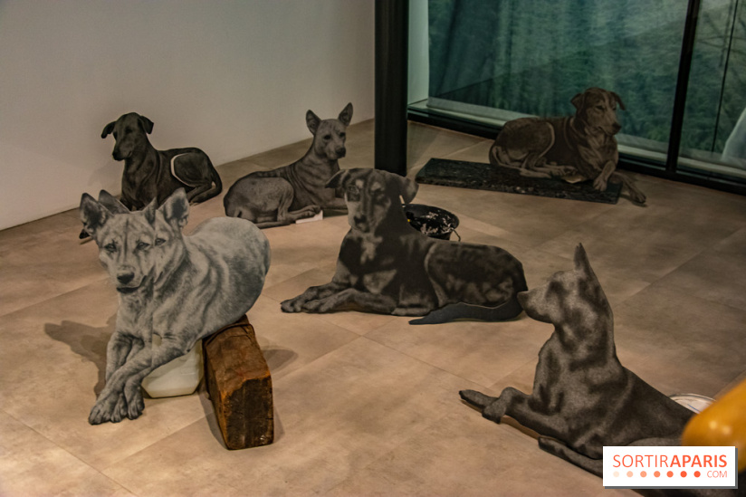 Exposition Daniel Otero Torres au Drawing Lab