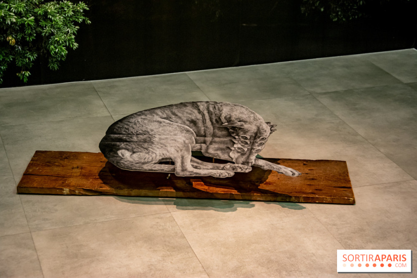 Exposition Daniel Otero Torres au Drawing Lab