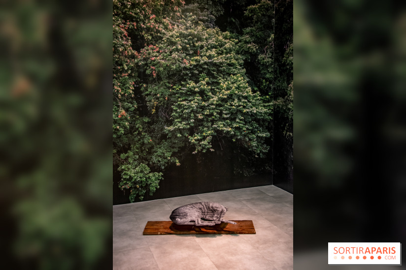 Exposition Daniel Otero Torres au Drawing Lab