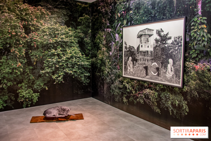 Exposition Daniel Otero Torres au Drawing Lab