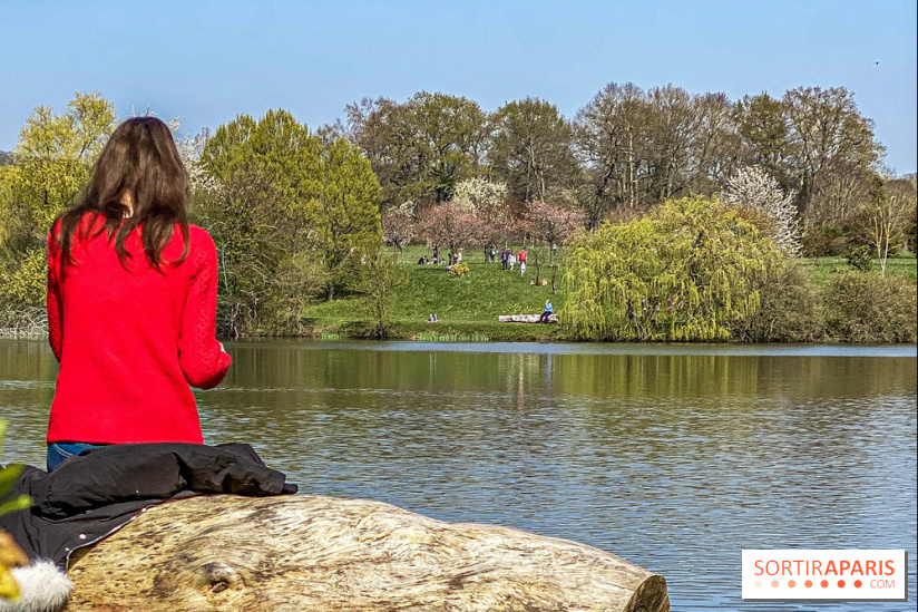 Les cerisiers et arbres en fleurs de l’Arboretum de Chevreloup