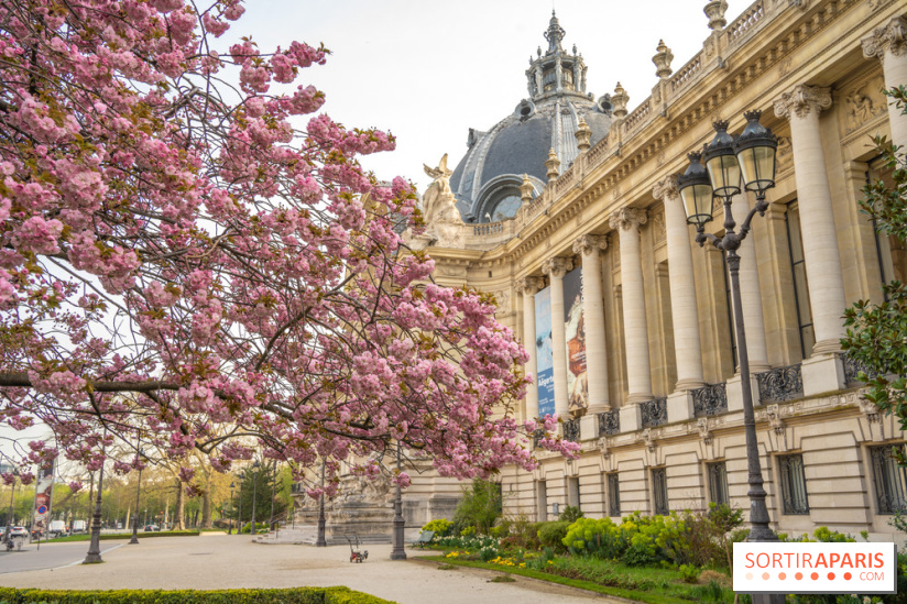 Terraces and cultural places to reopen in France: different scenarios on  the table 