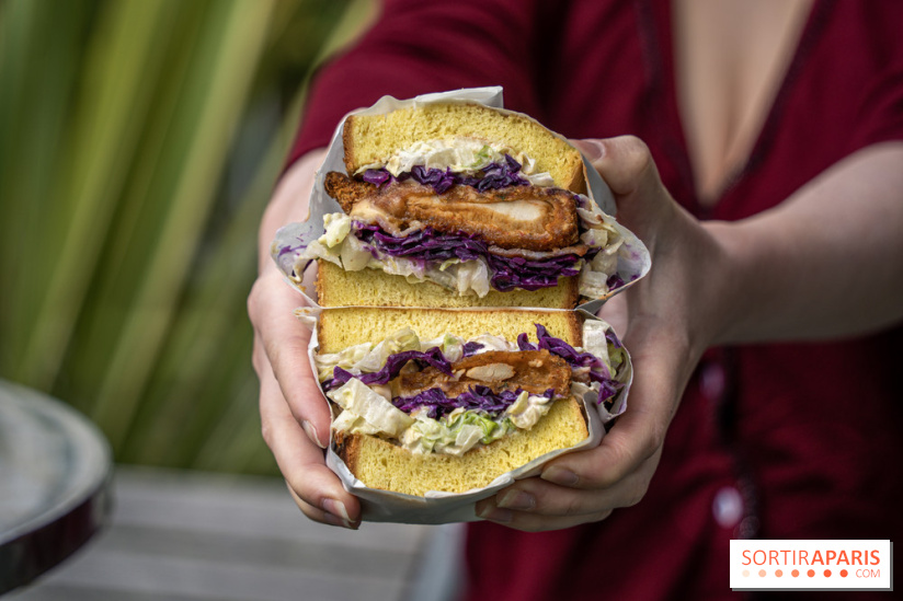 Lazy Guys Paris, street food Airfried