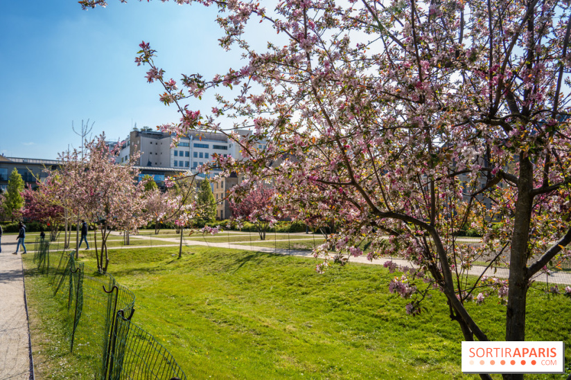 Jardin Catherine Labouré et le Jardin du Potager